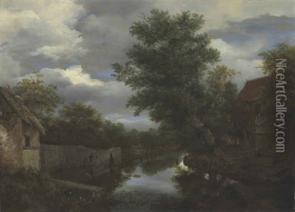 A Pollarded Willow Overhanging A River Oil Painting - Jacob Van Ruisdael