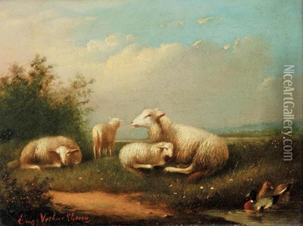 Owce Oil Painting - Eugene Verboeckhoven