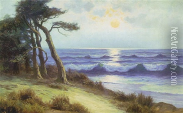 Coastal Tranquility Oil Painting - Nels Hagerup