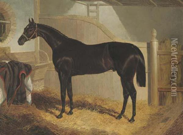 Faugh-a-ballagh, Winner Of The St. Leger Oil Painting - John Frederick Herring Snr