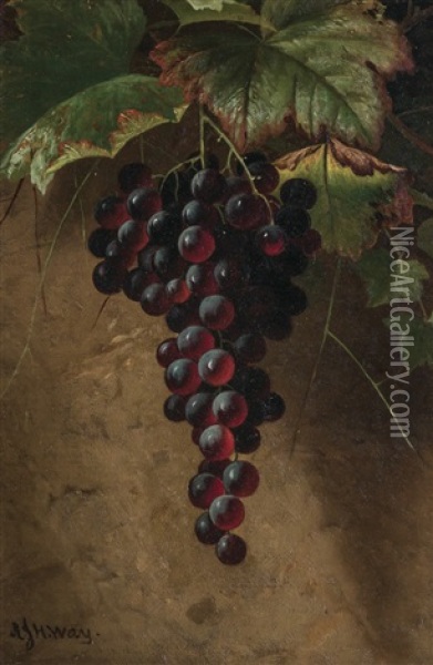 Still Life With Grapes Oil Painting - Andrew John Henry Way