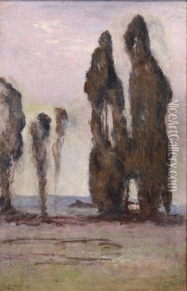 Eucalyptus At Mills College (oakland, California) Oil Painting - Giuseppe Cadenasso