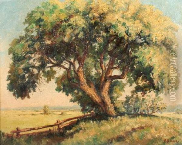 Alter Baum In Landschaft Oil Painting - Fritz Baer