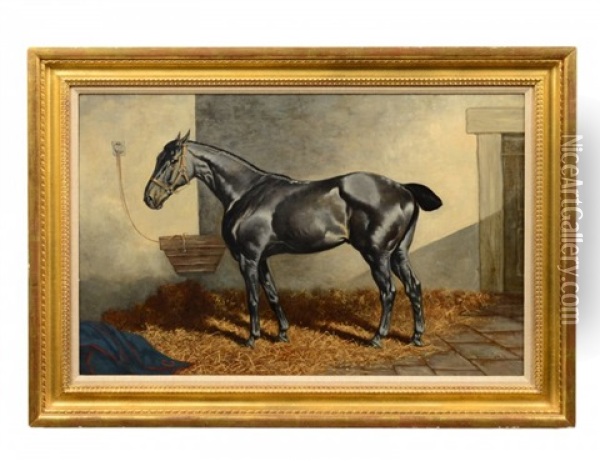 Grey Hunter In A Barn Oil Painting - Henry Stull
