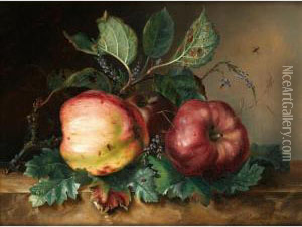 Les Deux Pommes [j*** Van Marcke ; Still Life With Two Apples ; Oil On Canvas Signed And Dated 1842] Oil Painting - Julie Palmyre Van Marcke-Robert