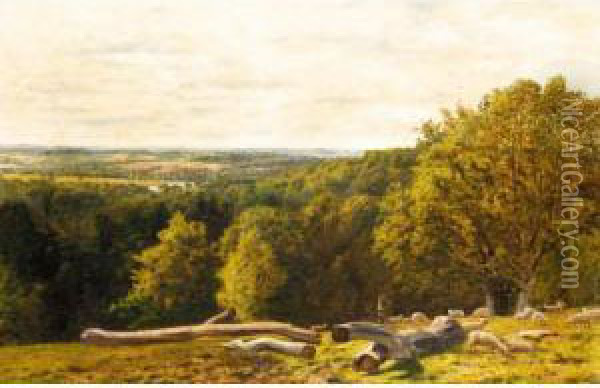 View From The North Downs, Surrey Oil Painting - George William Mote