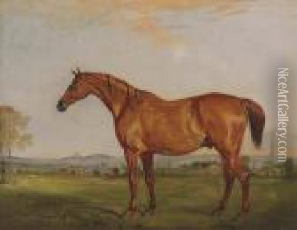 Shamrock, The Chestnut Hunter Of
 The Rev. Charles Thornton, Belvoircastle In The Distance Oil Painting - John Snr Ferneley