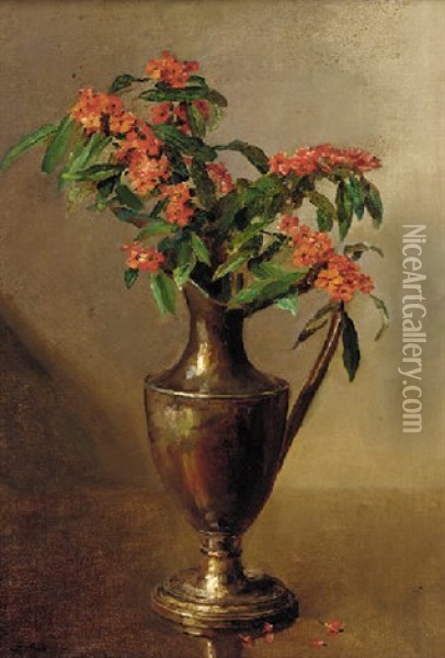 Milkweed In A Ewer Oil Painting - Catherine Mary Wood