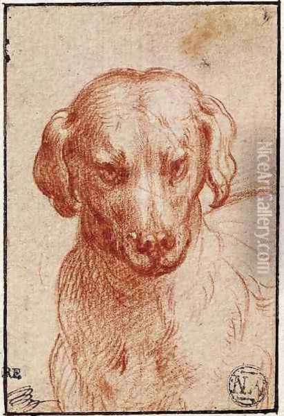 Head of a Dog Oil Painting - Girolamo Francesco Maria Mazzola (Parmigianino)