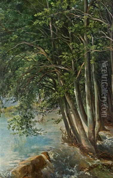 Wald Mit Uberschwemmtem Flussufer (study) Oil Painting - Alexandre Calame