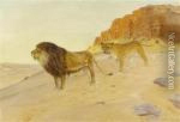 Pair Of Lions In The Desert Before Red Rocks. Oil Painting - Otto Pilny