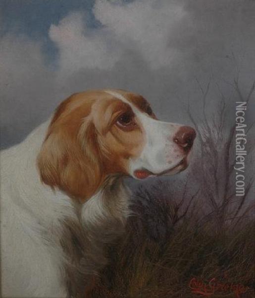 Head Of A Hound. Oil Painting - Colin Graeme Roe