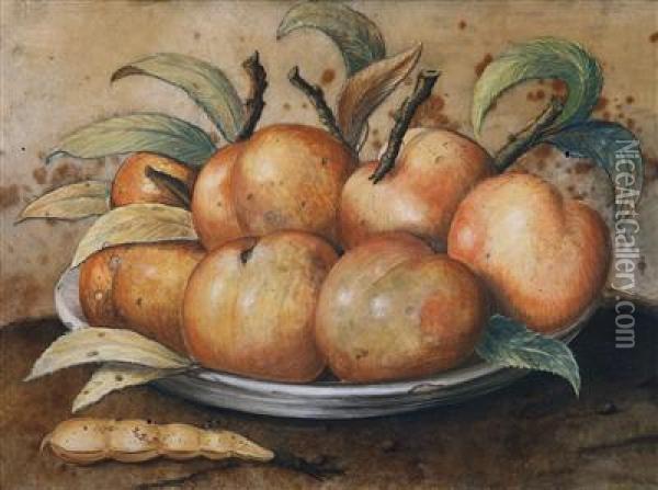 A Still Life With Peaches And Carobpods Oil Painting - Giovanna Garzoni