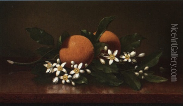 Two Oranges With Orange Blossoms Oil Painting - Martin Johnson Heade