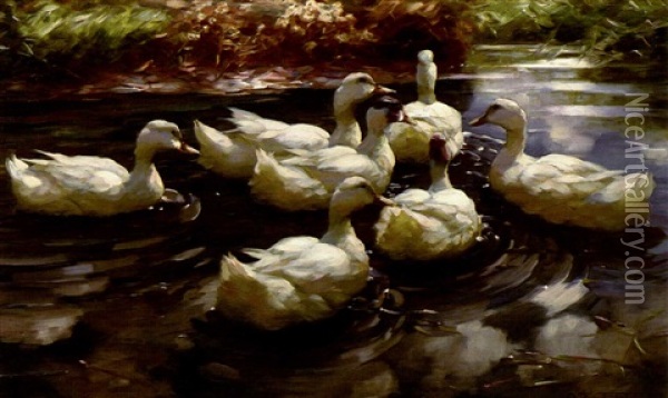Sieben Enten Im Wasser Oil Painting - Alexander Max Koester