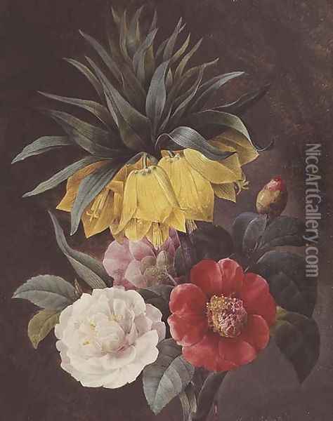 Exotic Flowers Oil Painting - Pierre-Joseph Redoute
