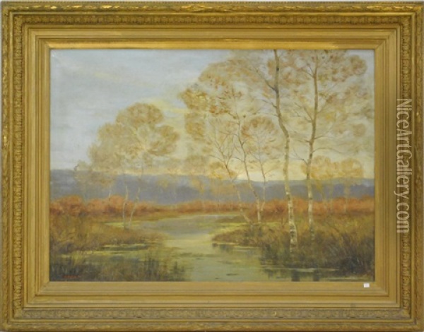 Paysage Marecageux Oil Painting - Nester Outer