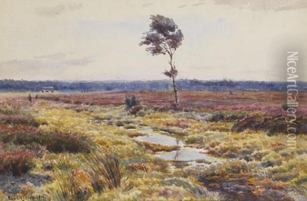 Landschaft Mit Bluhender Heide Oil Painting - Eugen John