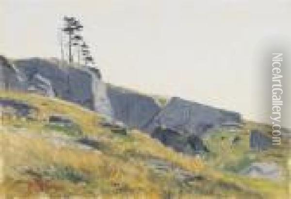 Rocks On A Hillside Oil Painting - Lockwood Deforest