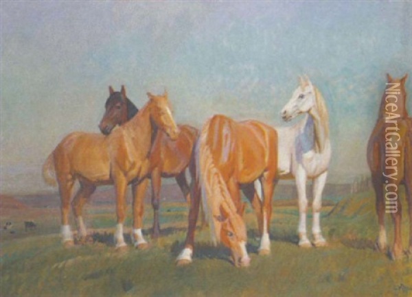 Pferde Auf Einem Feld Oil Painting - Knud Sinding