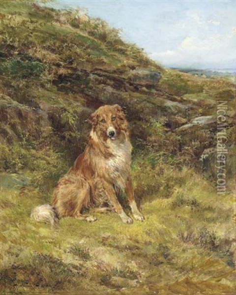 A Collie In A Landscape Oil Painting - Heywood Hardy