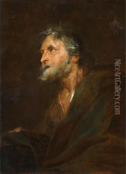 Study Of A Bearded Man, Half Length, Wearing A Brown Robe Oil Painting - Sir Anthony Van Dyck