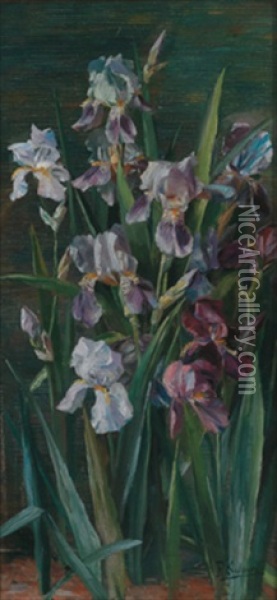 Lilien Oil Painting - Rosa Scherer