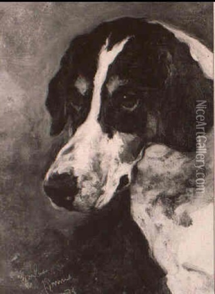 A Head Study Of The Hound Gaylas Oil Painting - John Emms