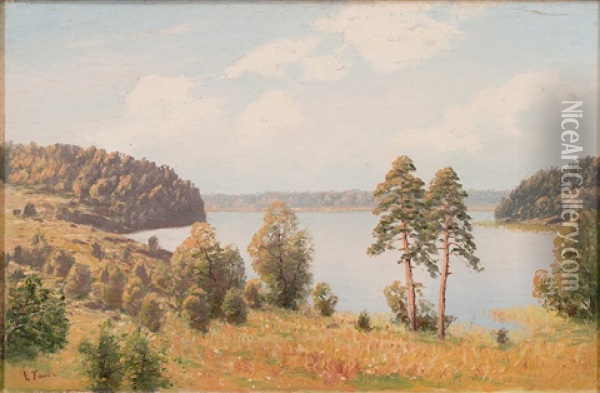 Motif From Saimaa Lake Oil Painting - Eugen Taube