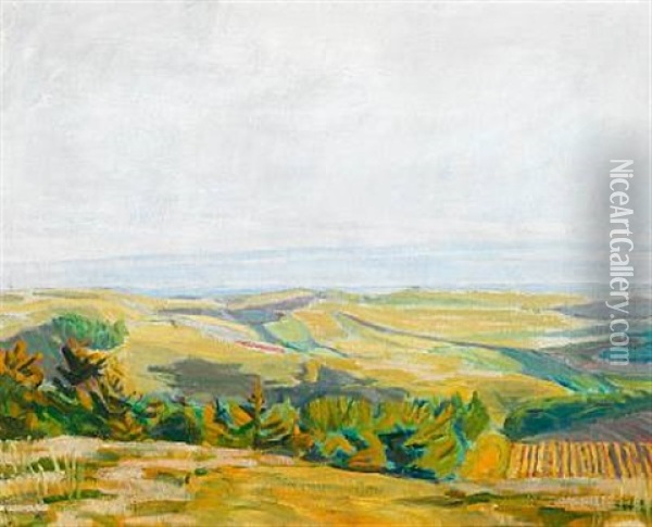 Sidelys. Ved Agri Bavnehoj (side Light. At Agri Bavnehoj), Mols Oil Painting - Niels Larsen Stevns