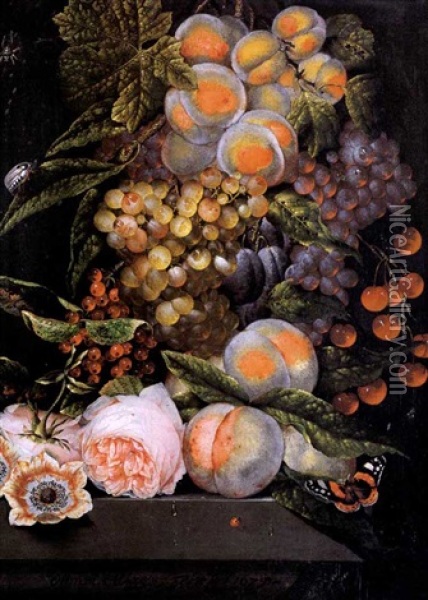 Natura Morta Con Pesche, Uva, Prugne, Ciliegie, Fiori E Farfalla Oil Painting - Ottmar Elliger the Elder