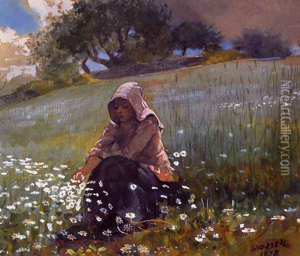 Girl and Daisies Oil Painting - Winslow Homer