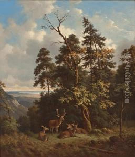 Rotwild An Waldrand Mit Blick Auf Einen See Oil Painting - Wilhelm Reinhardt