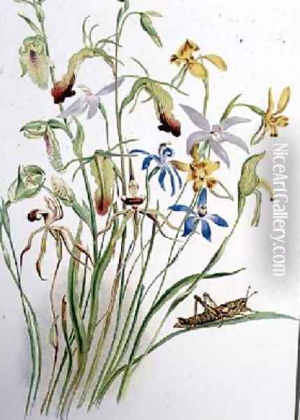 Iris and Blue Speedwell Oil Painting - Caroline Louisa Meredith