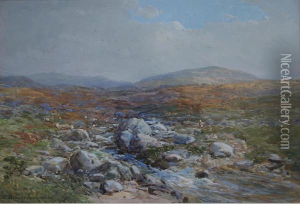 Scene On Dartmoor Oil Painting - Charles Branwhite