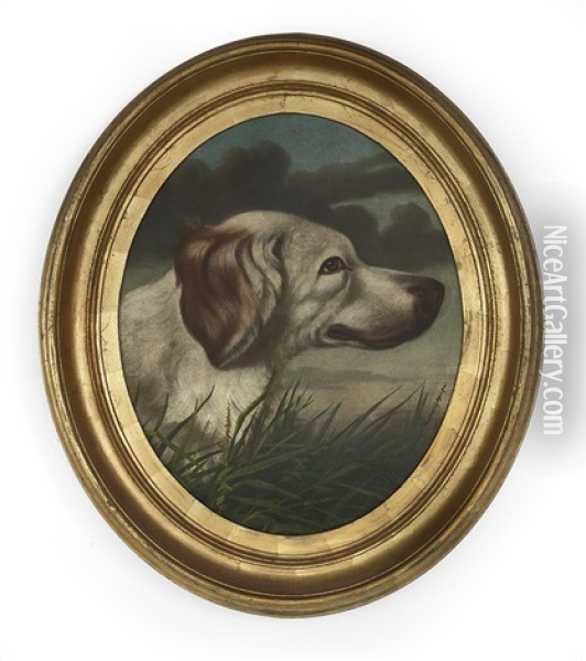 Hunting Dog Oil Painting - William Aiken Walker
