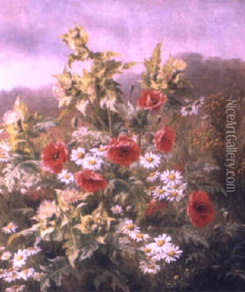Poppies And Margueritas In A Field Oil Painting - Anthonie Eleonore (Anthonore) Christensen