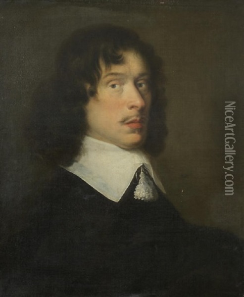 Portrait Of A Gentleman, Bust-length, In Black Oil Painting - Pieter Nason