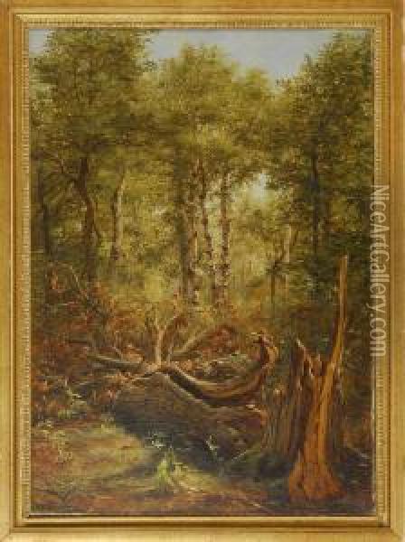 Forest Interior With Fallen Tree Oil Painting - Jerome B. Thompson