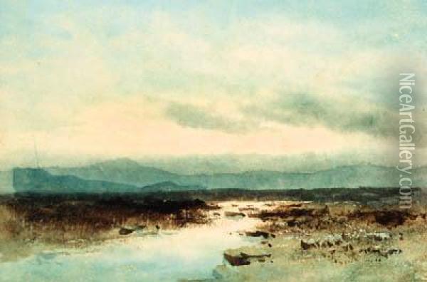 Moorland Stream Oil Painting - William Percy French