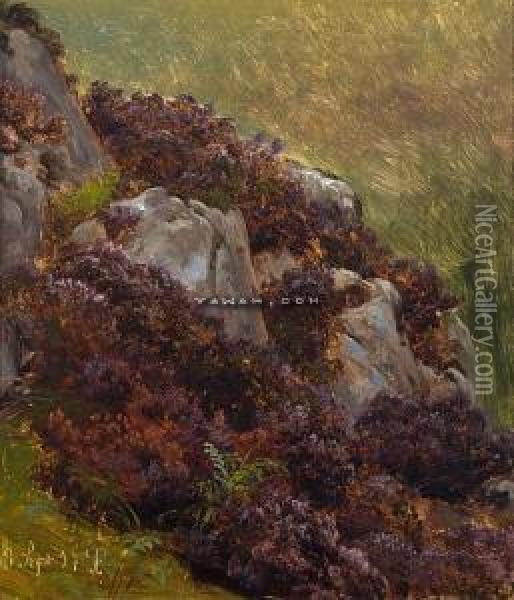 Studie Av Rosslyng Oil Painting - Thomas Fearnley