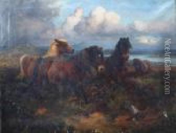 Shetland Ponies In A Landscape With Grouse In Foreground And Loch In Background Oil Painting - William Arnold Woodhouse