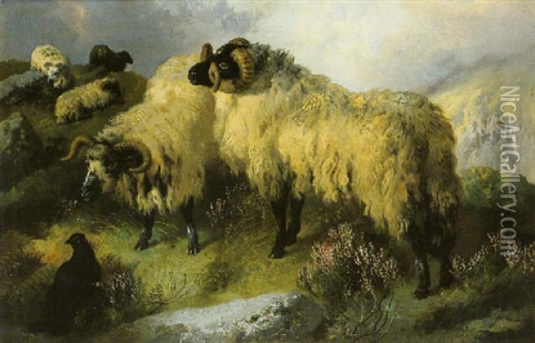 Highland Scene With Sheep And Grouse Oil Painting - George William Horlor