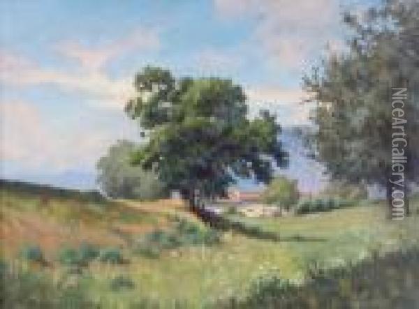 Paesaggio Oil Painting - Camillo Merlo