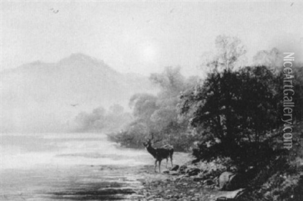 Stag By The River Oil Painting - Clarence Henry Roe
