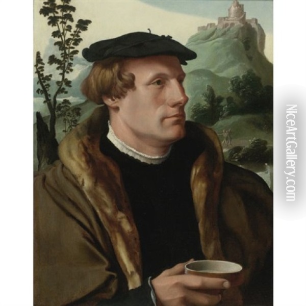 Portrait Of A Gentleman In A Fur-lined Cloak Oil Painting - Maerten Jacobsz van Heemskerck