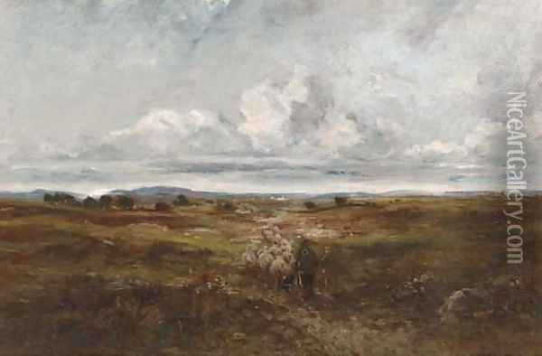 Driving the sheep Oil Painting - David Cox