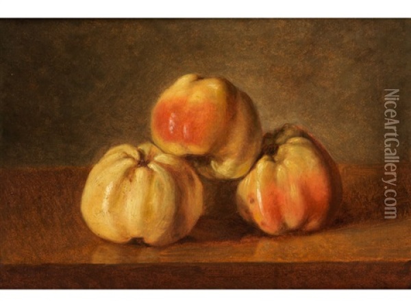 Stillleben Mit Apfeln Oil Painting - Dominique Pergault