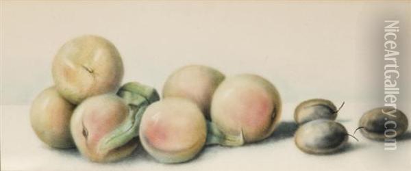 Six Peaches And Threefigs Oil Painting - Ernst Karl Georg Zimmermann