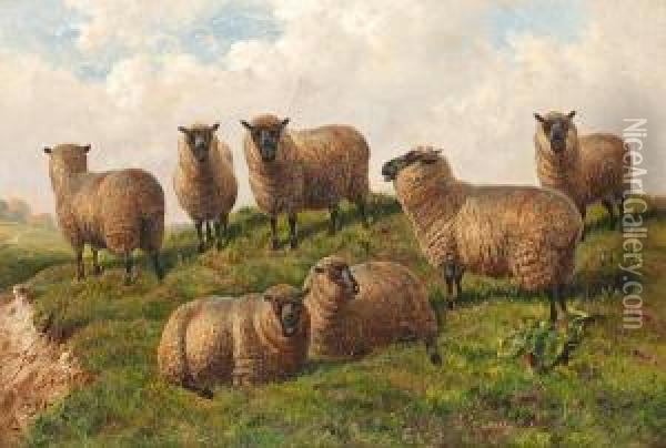 Sheep In A Landscape Oil Painting - Charles Jones
